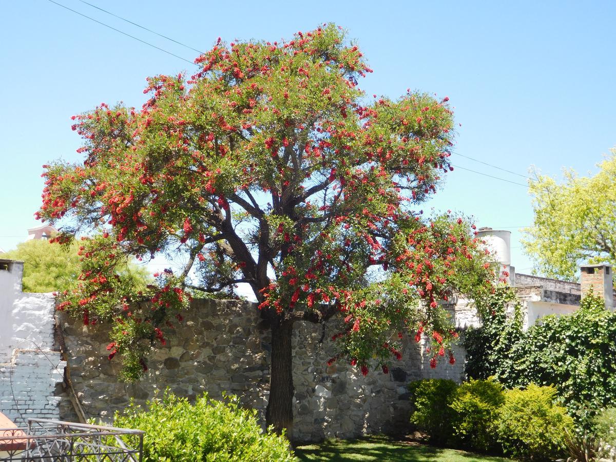 La Posada Alta Gracia Bagian luar foto